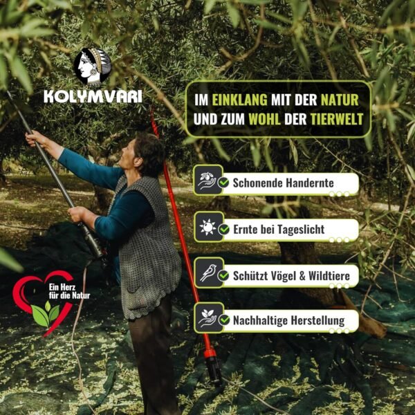 Kolymvari P.D.O. Premium Olivenöl – 5L Kanister – Extra Nativ aus Kreta | 100% Koroneiki Oliven | Kaltextraktion & Handernte | Nährstoffreich und naturrein | Höchste Qualität mit niedrigem Säuregehalt für Gesundheit und Geschmack - Image 3